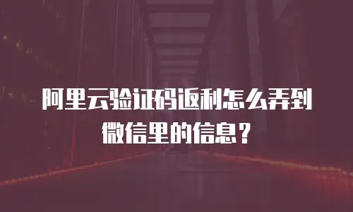阿里云验证码返利怎么弄到微信里的信息？