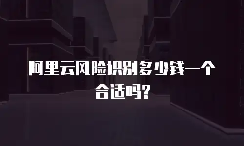 阿里云风险识别多少钱一个合适吗？