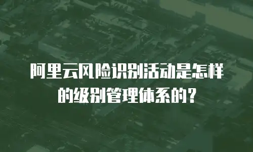 阿里云风险识别活动是怎样的级别管理体系的？
