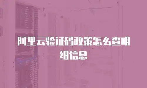 阿里云验证码政策怎么查明细信息