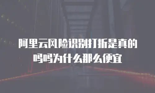 阿里云风险识别打折是真的吗吗为什么那么便宜