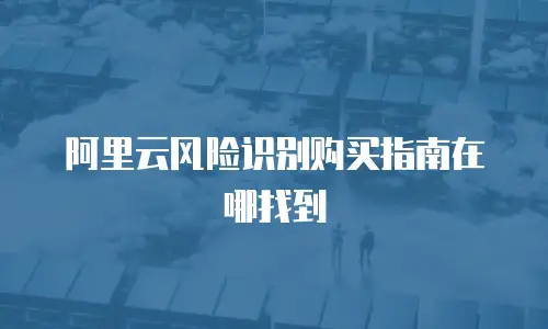 阿里云风险识别购买指南在哪找到