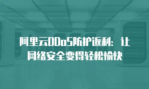 阿里云DDoS防护返利：让网络安全变得轻松愉快