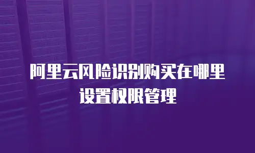 阿里云风险识别购买在哪里设置权限管理