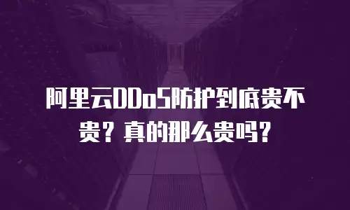 阿里云DDoS防护到底贵不贵？真的那么贵吗？