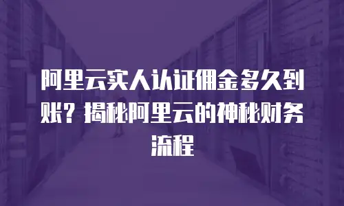 阿里云实人认证佣金多久到账？揭秘阿里云的神秘财务流程