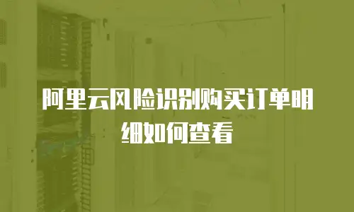 阿里云风险识别购买订单明细如何查看