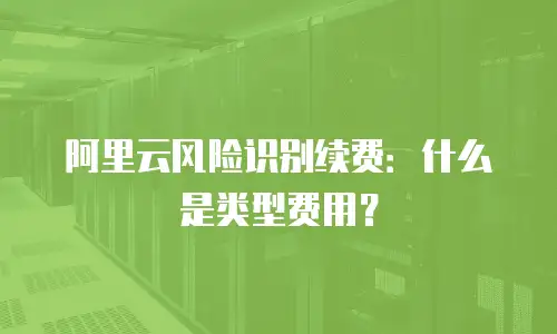 阿里云风险识别续费：什么是类型费用？