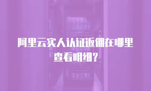 阿里云实人认证返佣在哪里查看明细？