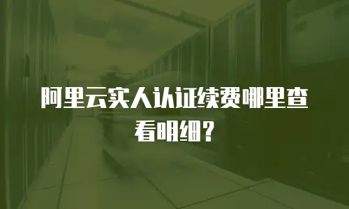 阿里云实人认证续费哪里查看明细？
