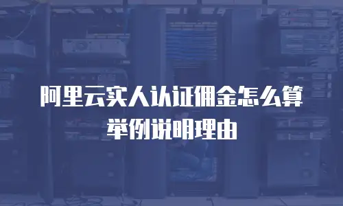 阿里云实人认证佣金怎么算举例说明理由