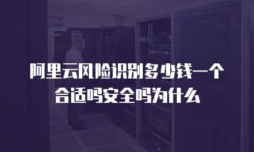 阿里云风险识别多少钱一个合适吗安全吗为什么