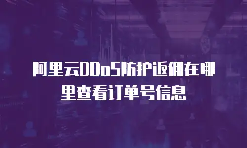 阿里云DDoS防护返佣在哪里查看订单号信息