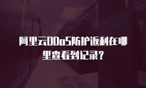 阿里云DDoS防护返利在哪里查看到记录？