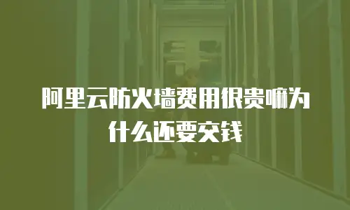 阿里云防火墙费用很贵嘛为什么还要交钱