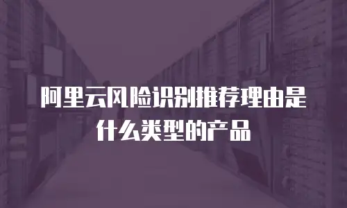 阿里云风险识别推荐理由是什么类型的产品