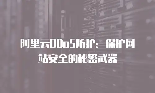 阿里云DDoS防护：保护网站安全的秘密武器