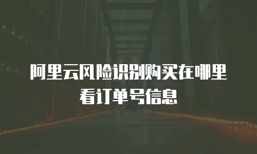 阿里云风险识别购买在哪里看订单号信息