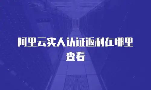 阿里云实人认证返利在哪里查看