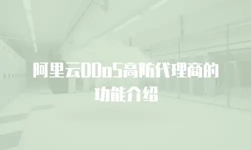 阿里云DDoS高防代理商的功能介绍