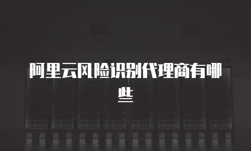 阿里云风险识别代理商有哪些