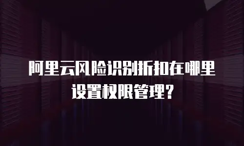 阿里云风险识别折扣在哪里设置权限管理？