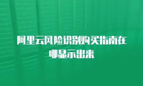 阿里云风险识别购买指南在哪显示出来