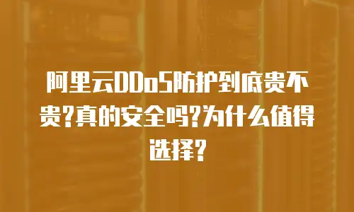 阿里云DDoS防护到底贵不贵?真的安全吗?为什么值得选择?
