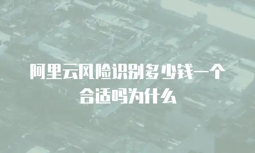 阿里云风险识别多少钱一个合适吗为什么