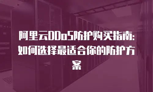阿里云DDoS防护购买指南：如何选择最适合你的防护方案