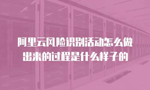 阿里云风险识别活动怎么做出来的过程是什么样子的
