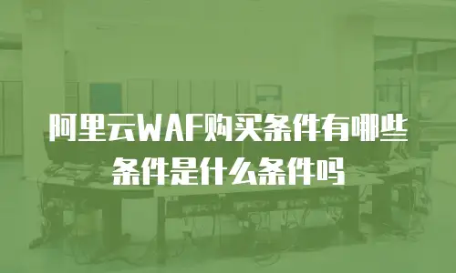 阿里云WAF购买条件有哪些条件是什么条件吗