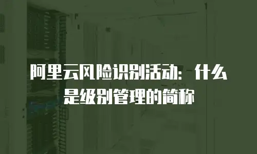 阿里云风险识别活动：什么是级别管理的简称