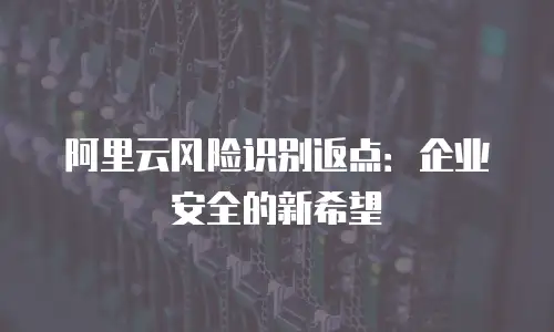 阿里云风险识别返点：企业安全的新希望