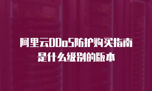 阿里云DDoS防护购买指南是什么级别的版本