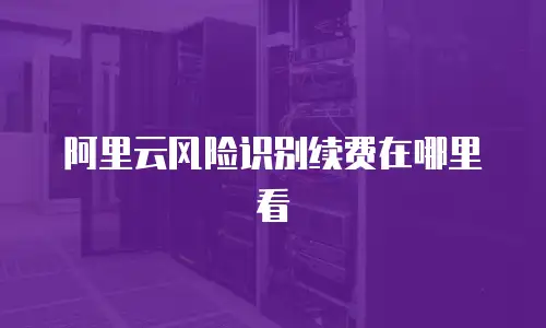阿里云风险识别续费在哪里看