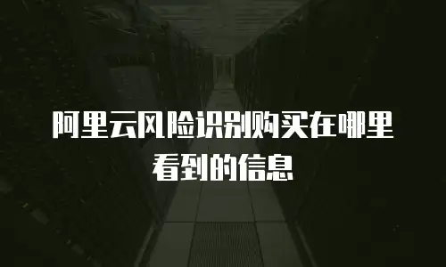 阿里云风险识别购买在哪里看到的信息