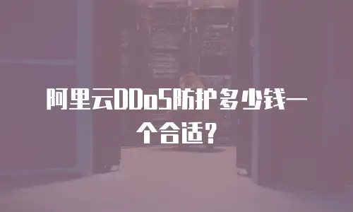 阿里云DDoS防护多少钱一个合适？