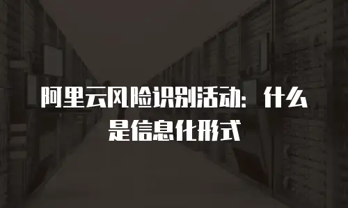 阿里云风险识别活动：什么是信息化形式