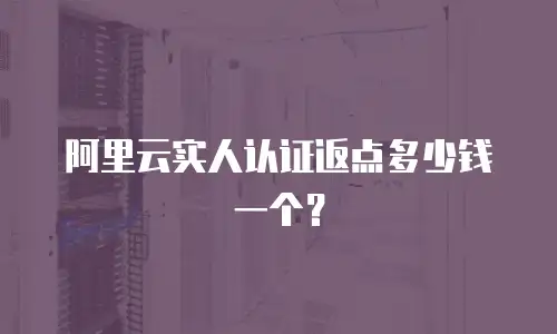 阿里云实人认证返点多少钱一个？