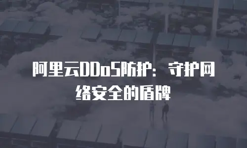 阿里云DDoS防护：守护网络安全的盾牌