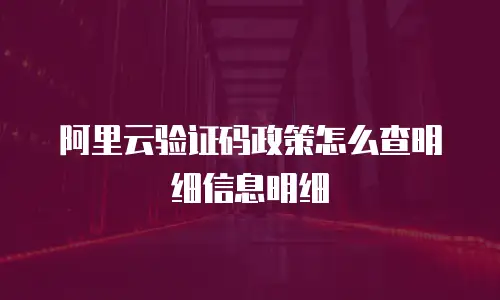 阿里云验证码政策怎么查明细信息明细