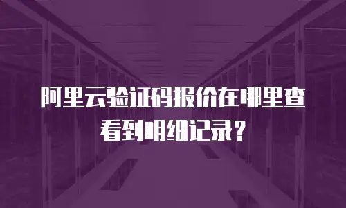 阿里云验证码报价在哪里查看到明细记录？