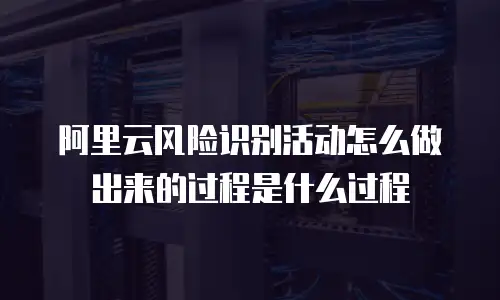 阿里云风险识别活动怎么做出来的过程是什么过程
