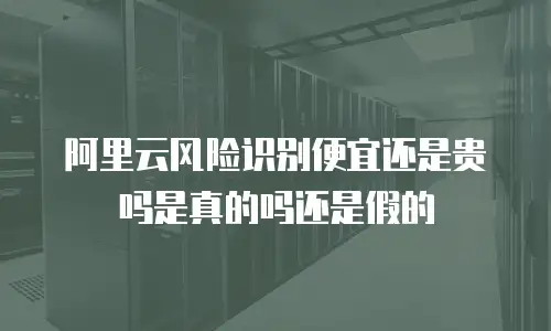 阿里云风险识别便宜还是贵吗是真的吗还是假的