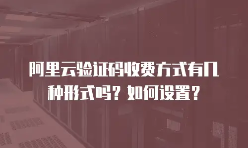 阿里云验证码收费方式有几种形式吗？如何设置？
