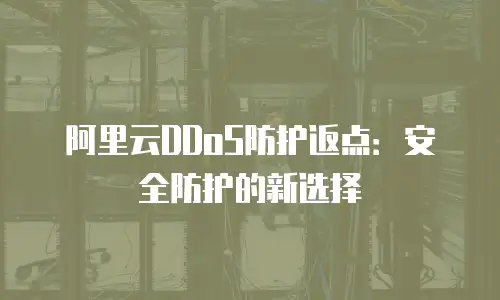 阿里云DDoS防护返点：安全防护的新选择