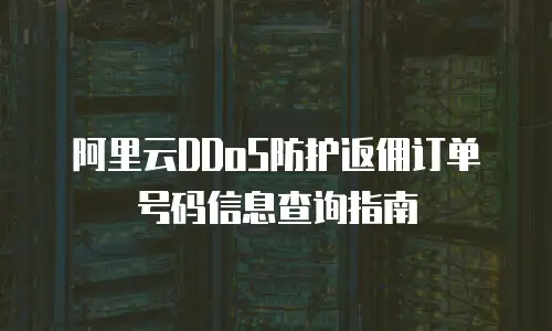 阿里云DDoS防护返佣订单号码信息查询指南