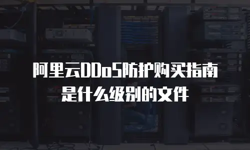 阿里云DDoS防护购买指南是什么级别的文件