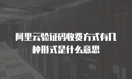 阿里云验证码收费方式有几种形式是什么意思